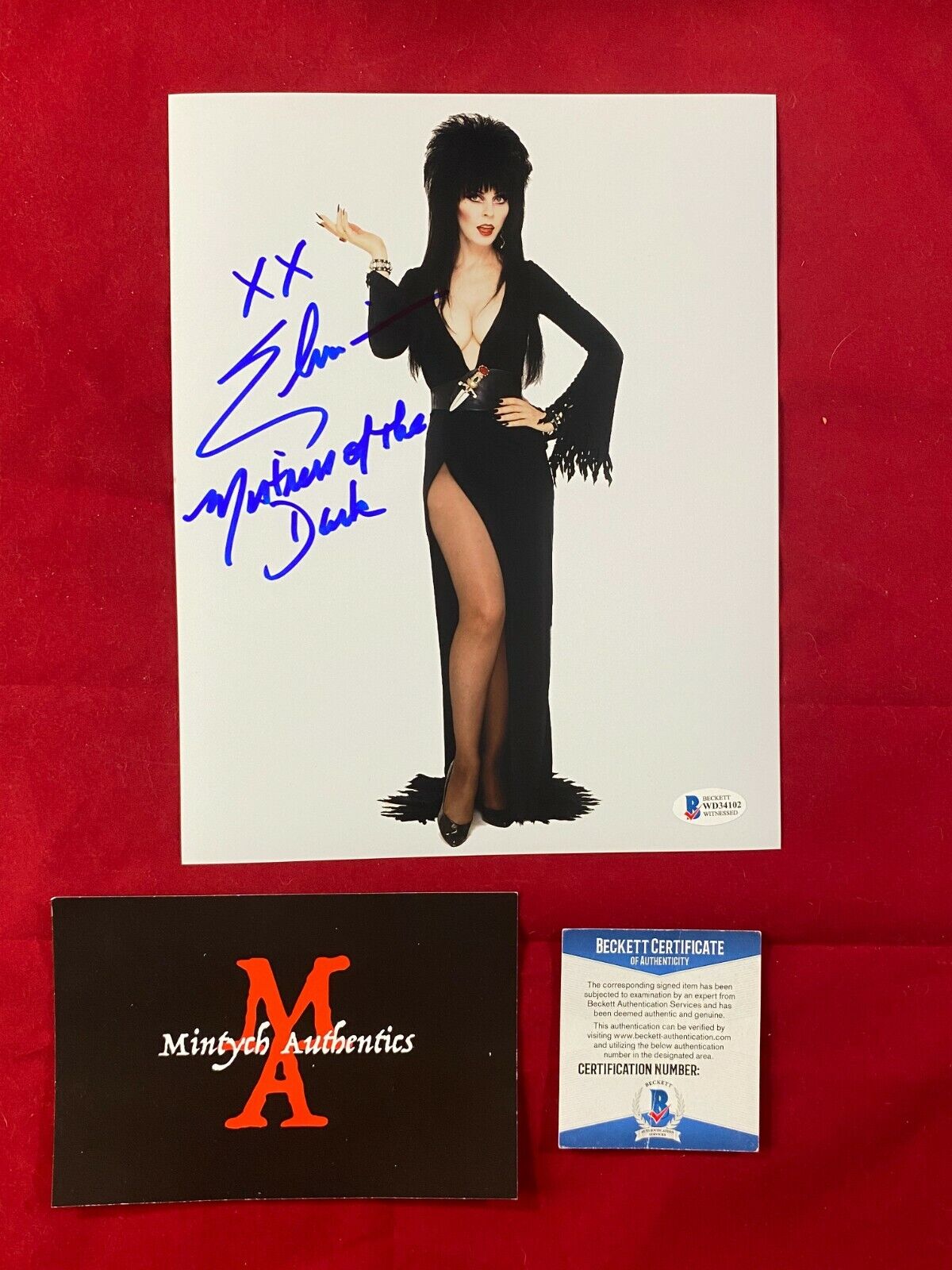 ELVIRA CASSANDRA PETERSON AUTOGRAPHED SIGNED 8x10 Photo Poster painting! BECKETT COA! HORROR!