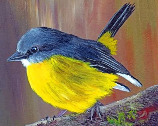 

Black And Yellow Bird – Paint By Numbers - 40*50CM, 501 Original