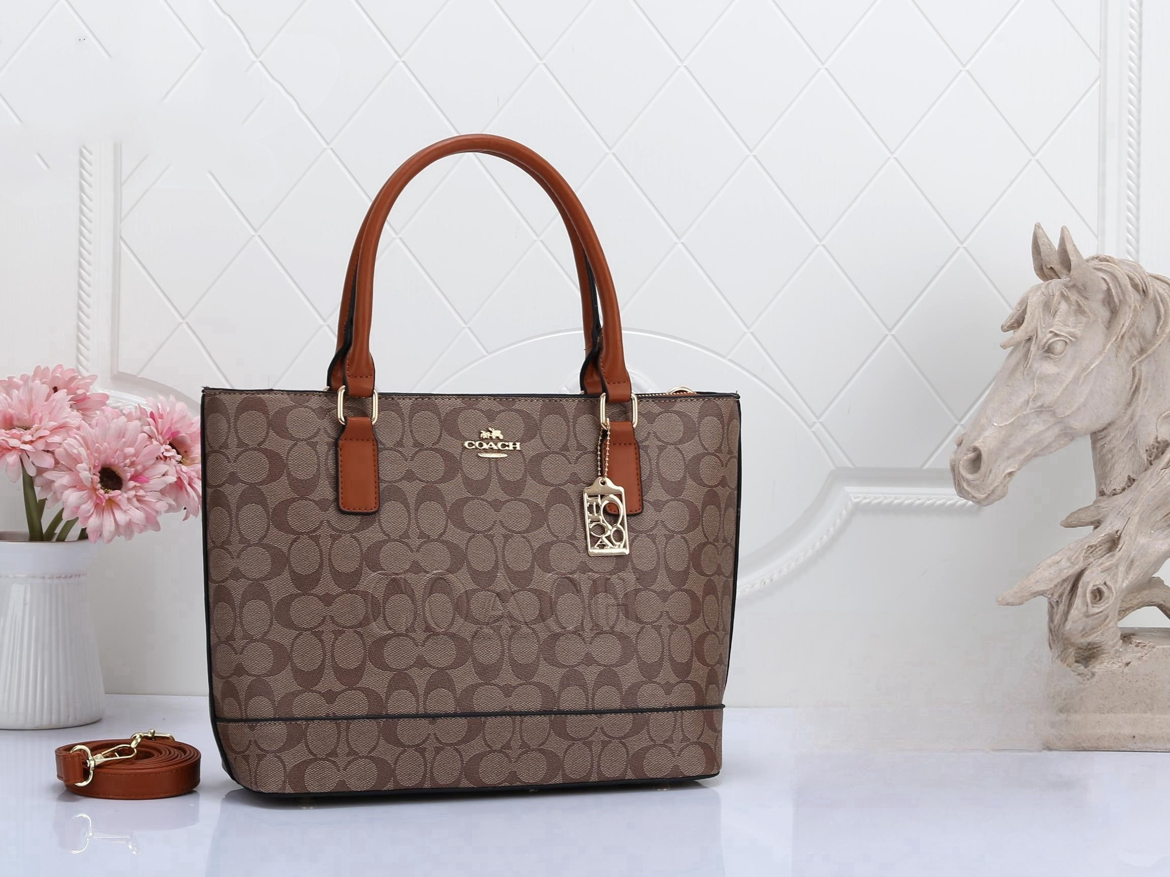 【🔥🔥🔥Big Sale】COACHclassic presbyopic bag