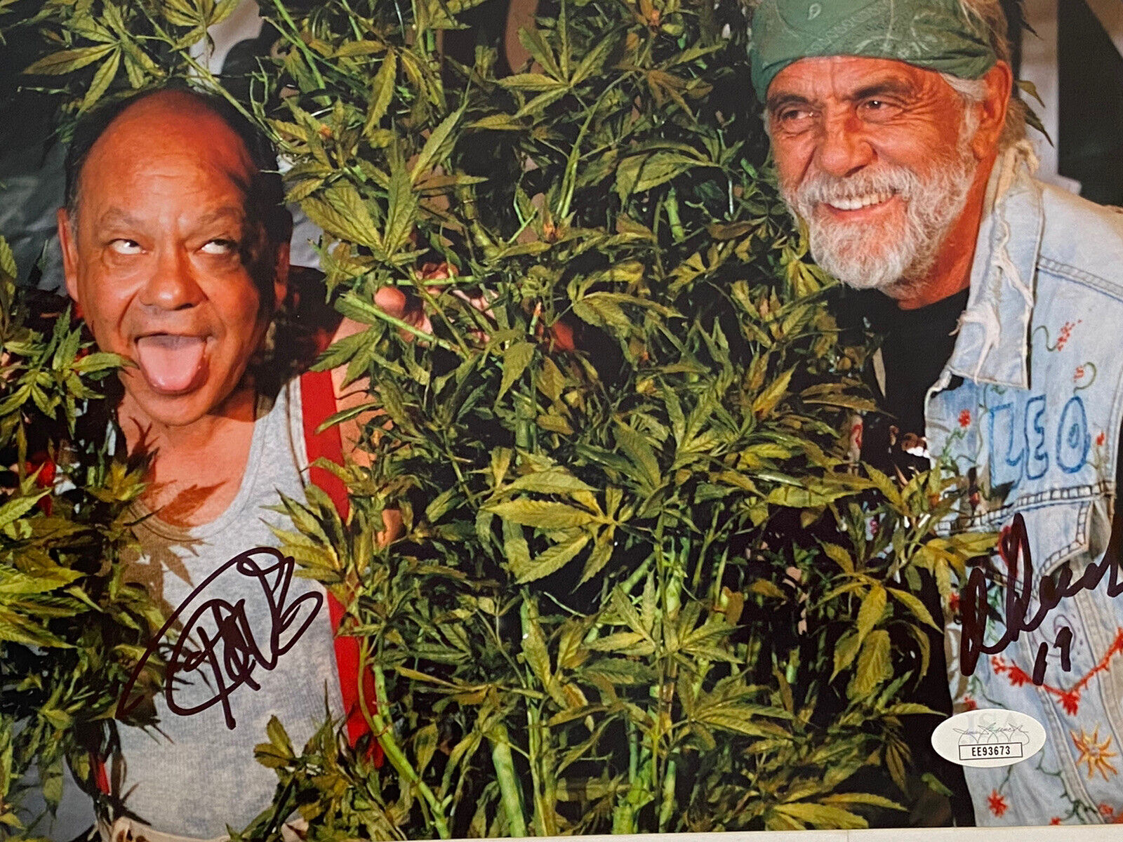 Cheech and Chong Autograph 8x10 Photo Poster painting Signed JSA COA Stoner, weed,