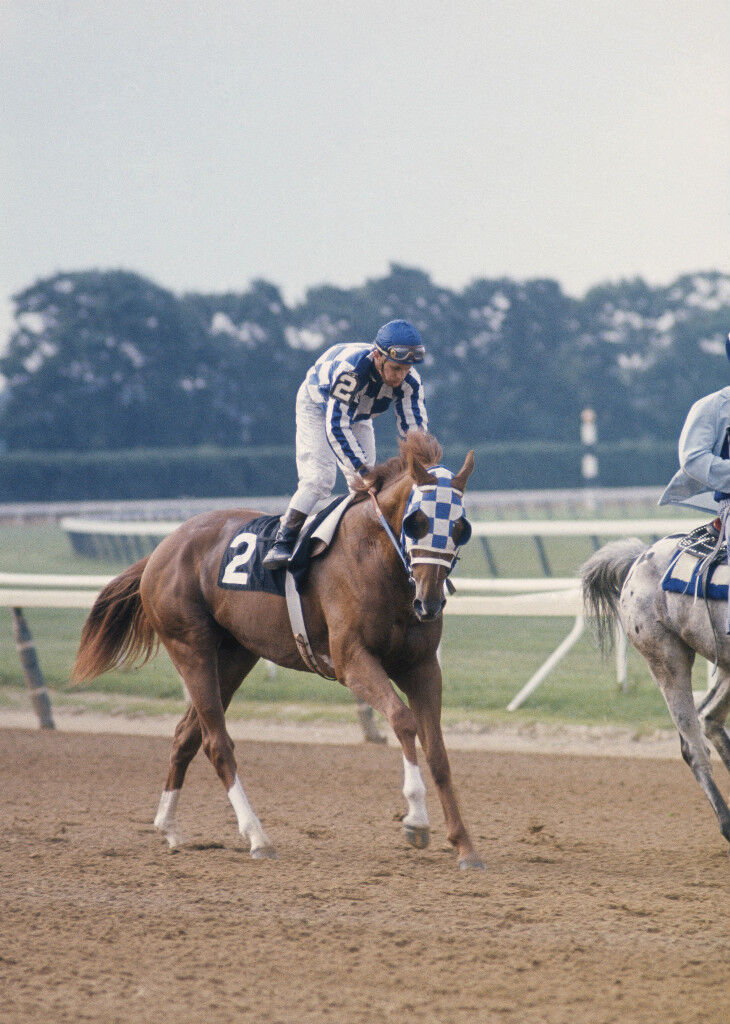 1973 Ron Turcotte SECRETARIAT Belmont Stakes Horse Racing 8x10 Photo Poster painting TripleCrown