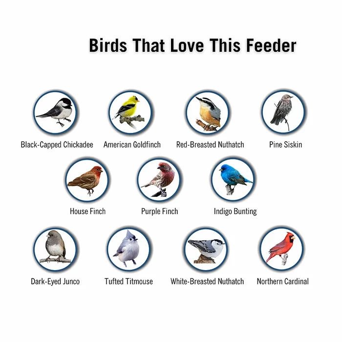 Proof bird feeder 100 squirrel new summer 2023