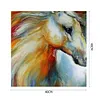 uk.everydayedeals (Limited Stock)Paint By Number - Oil Painting -  Horse (40*40Cm)