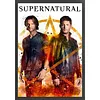 Supernatural-11CT Stamped Cross Stitch 40*60cm tapestrymarket