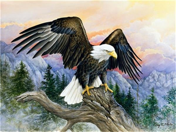 Eagle Paint By Numbers Kits UK For Adult Y5383