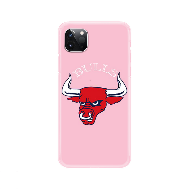 Chicago Bulls, Basketball iPhone Case