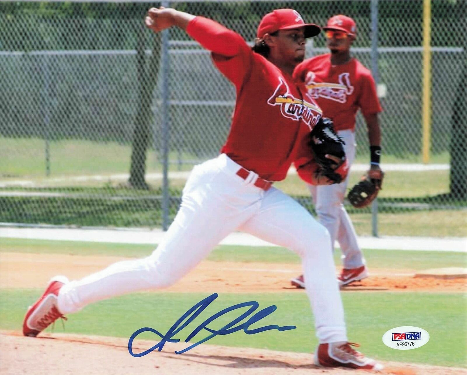 Alex Reyes signed 8x10 Photo Poster painting PSA/DNA St. Louis Cardinals Autographed