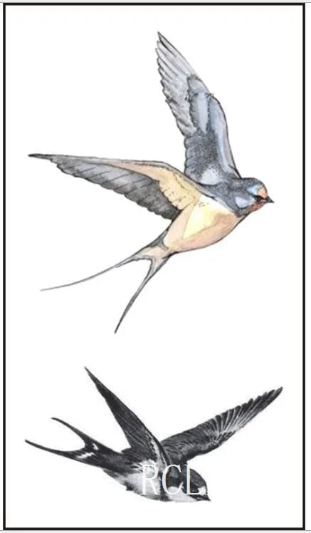 Waterproof Temporary Tattoo Sticker Feather fly bird Flash Tatoo Fake Tatto arm leg Wrist Foot hand shoulder For Girl Men Women