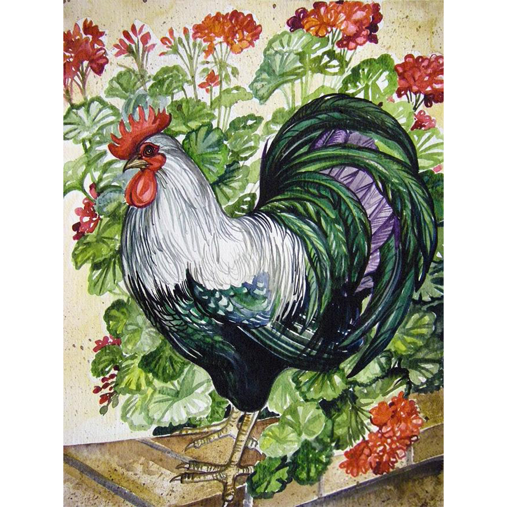 

Chicken - Round Drill Diamond Painting - 30*40CM, 501 Original