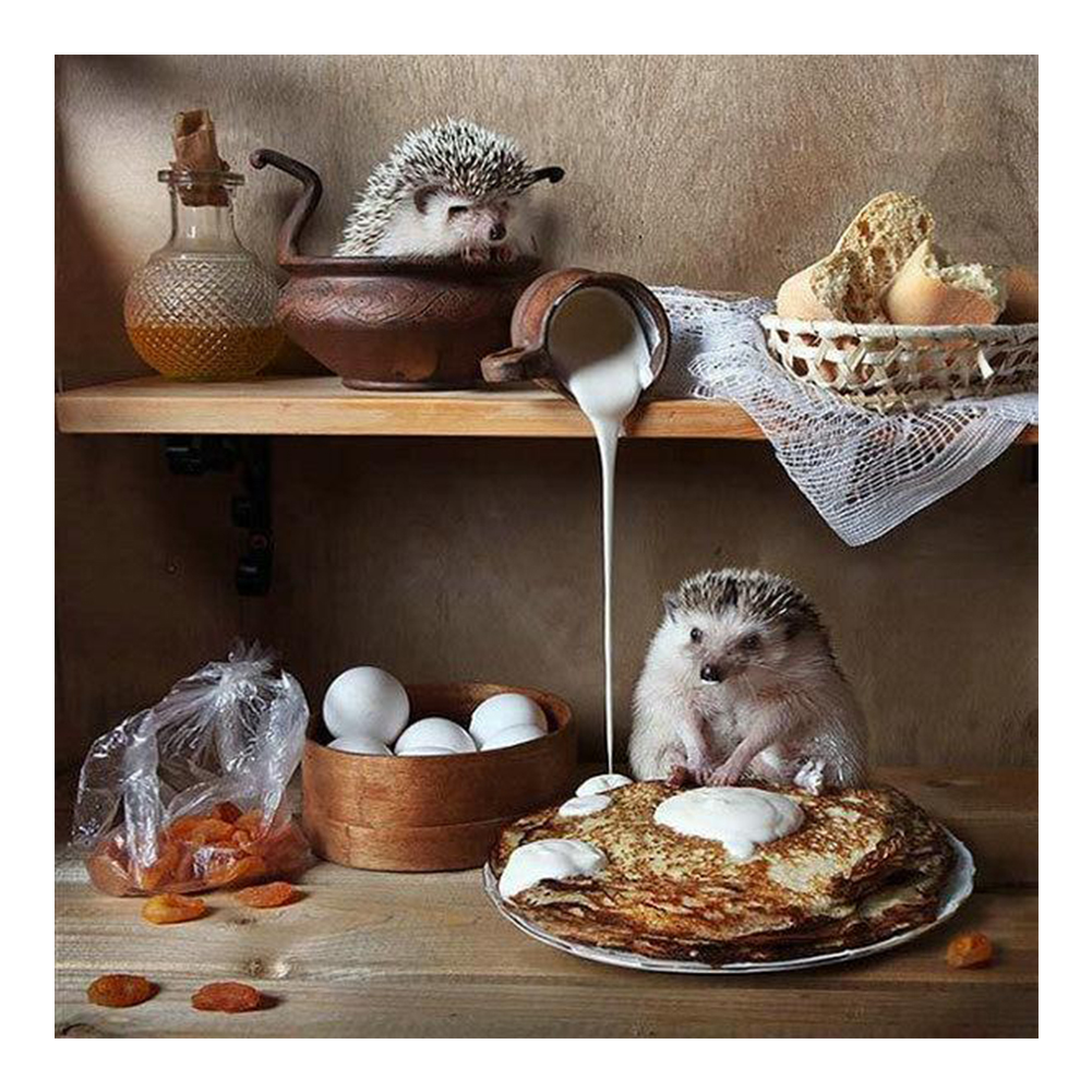 

Hedgehog - Round Drill Diamond Painting - 30*30CM, 501 Original