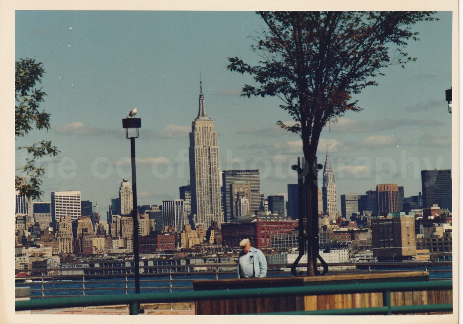 NEW YORK SKYLINE 5x7 FOUND Photo Poster paintingGRAPH ColorEmpire State Bldg 83 5