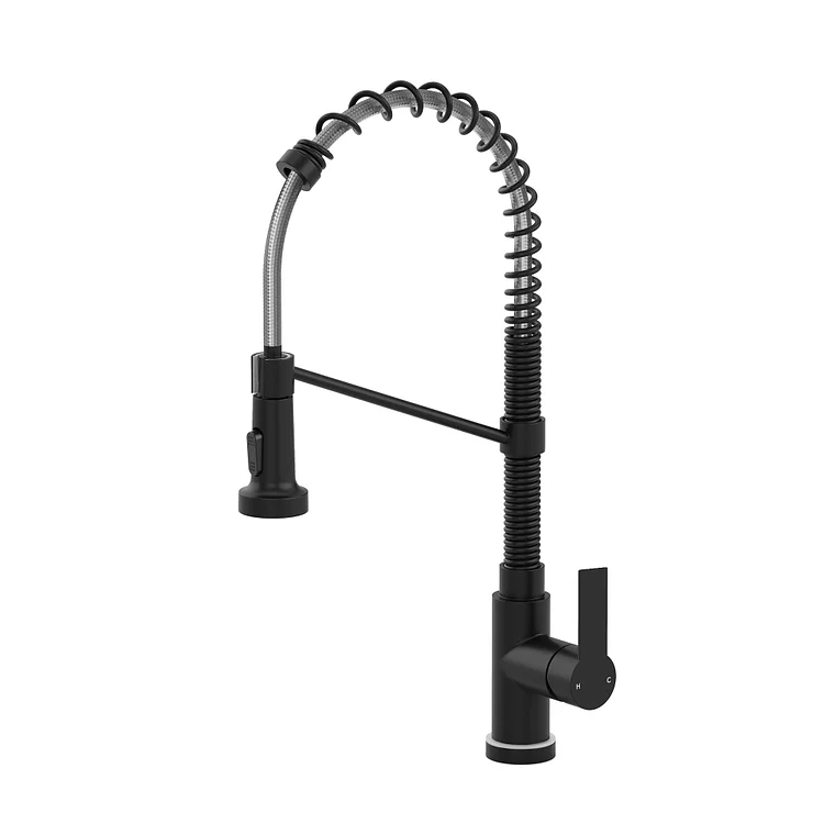 EVERSTEIN Pull Down Kitchen Faucet with LED & Spring Neck Matte Black 