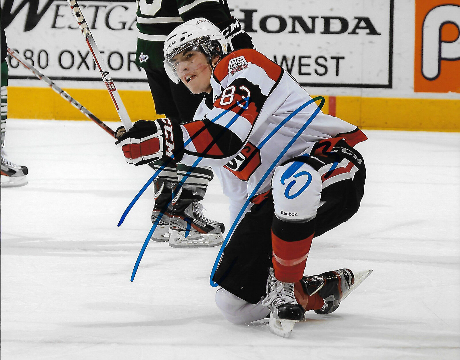 Ottawa 67's Codi Ceci Autographed Signed 8x10 Photo Poster painting COA TWO