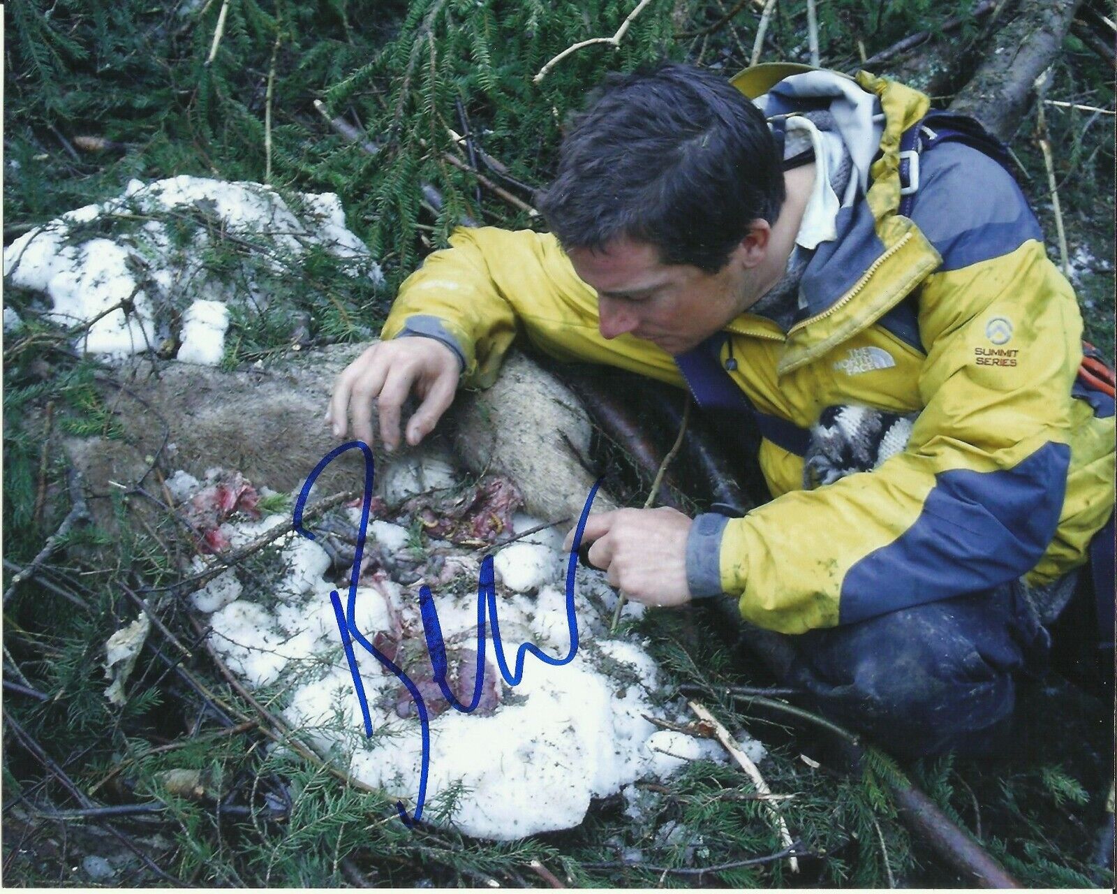 BEAR GRYLLS SIGNED COOL Photo Poster painting UACC REG 242 (4)