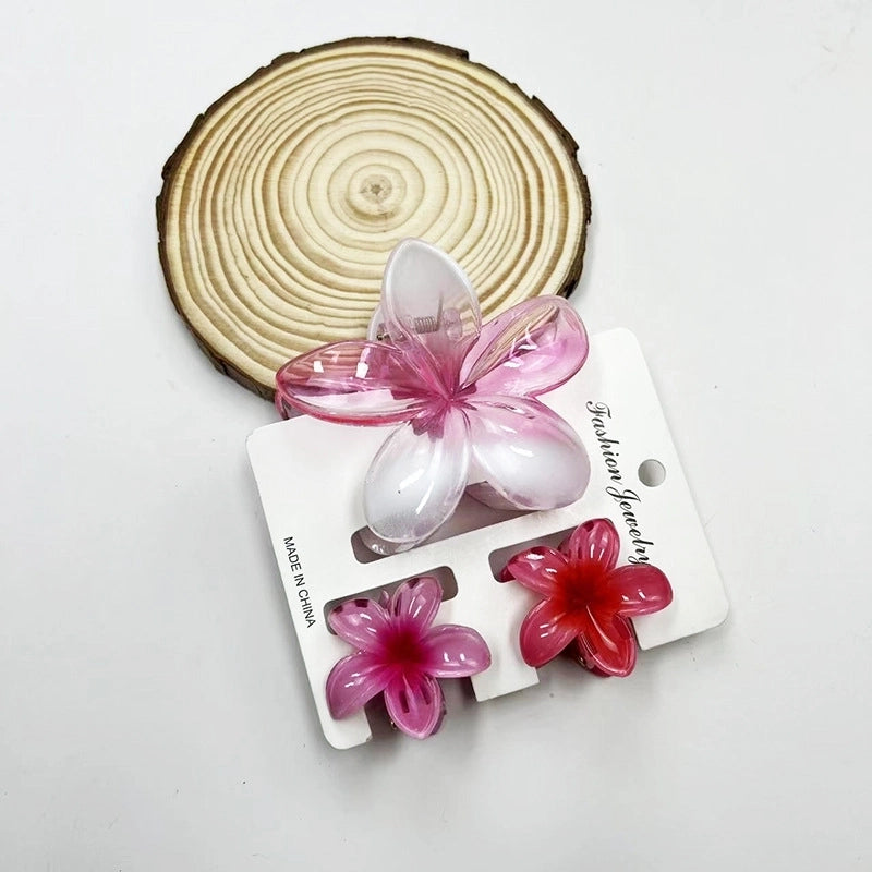 Vacation Modern Style Women’s Flower Resin Hair Claws