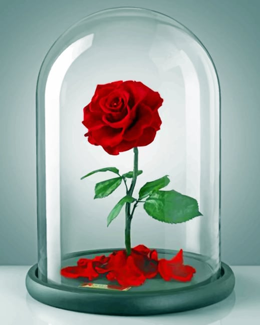 

Red Rose – Paint By Numbers - 40*50CM, 501 Original