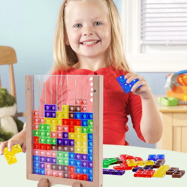 Blocks Puzzle Brain Teasers Toy
