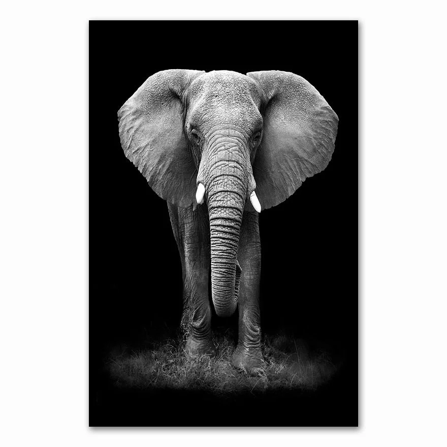 Canvas Painting Animal Wall Art Lion Elephant Deer Zebra Posters and Prints Wall Pictures for Living Room Decoration Home Decor