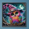 Diamond Painting - Partial Special Shaped Drill - Halloween Owl(Canvas|30*30cm)