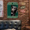 Funny"Are You Pooping Cat" - Vintage Metal Signs(12*16Inch) - Cat