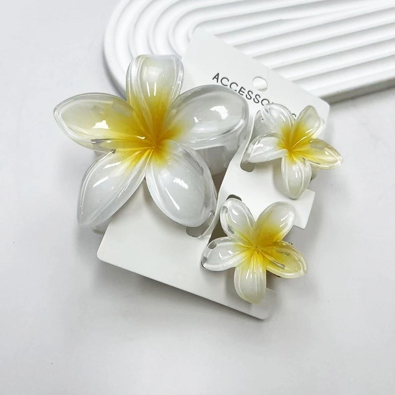 Vacation Modern Style Women’s Flower Resin Hair Claws