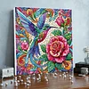 Framed Diamond Painting - Special Shaped - Rose Flowers and Hummingbird(25x25cm)
