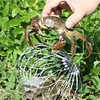 High Quality Sturdy Upgraded Version Stainless Steel Crab Trap
