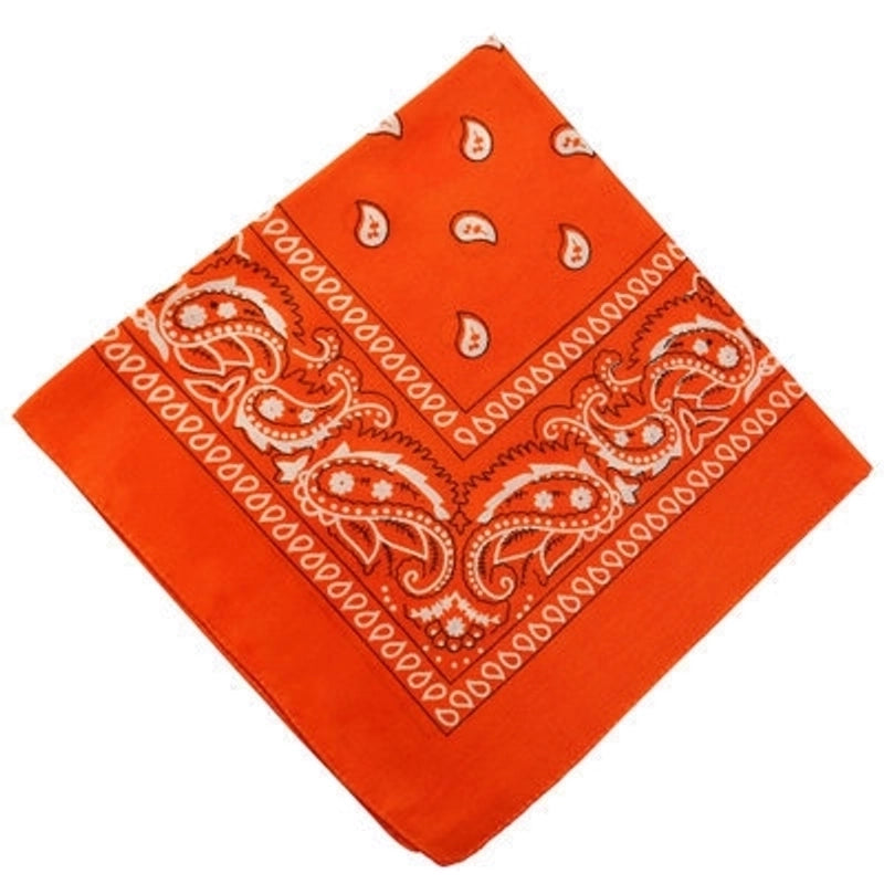 Unisex Classic Style Printing Eaveless Kerchief