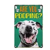 Are you puffing? - Metal Tin Signs(8*12Inch/12*16Inch) - Animal