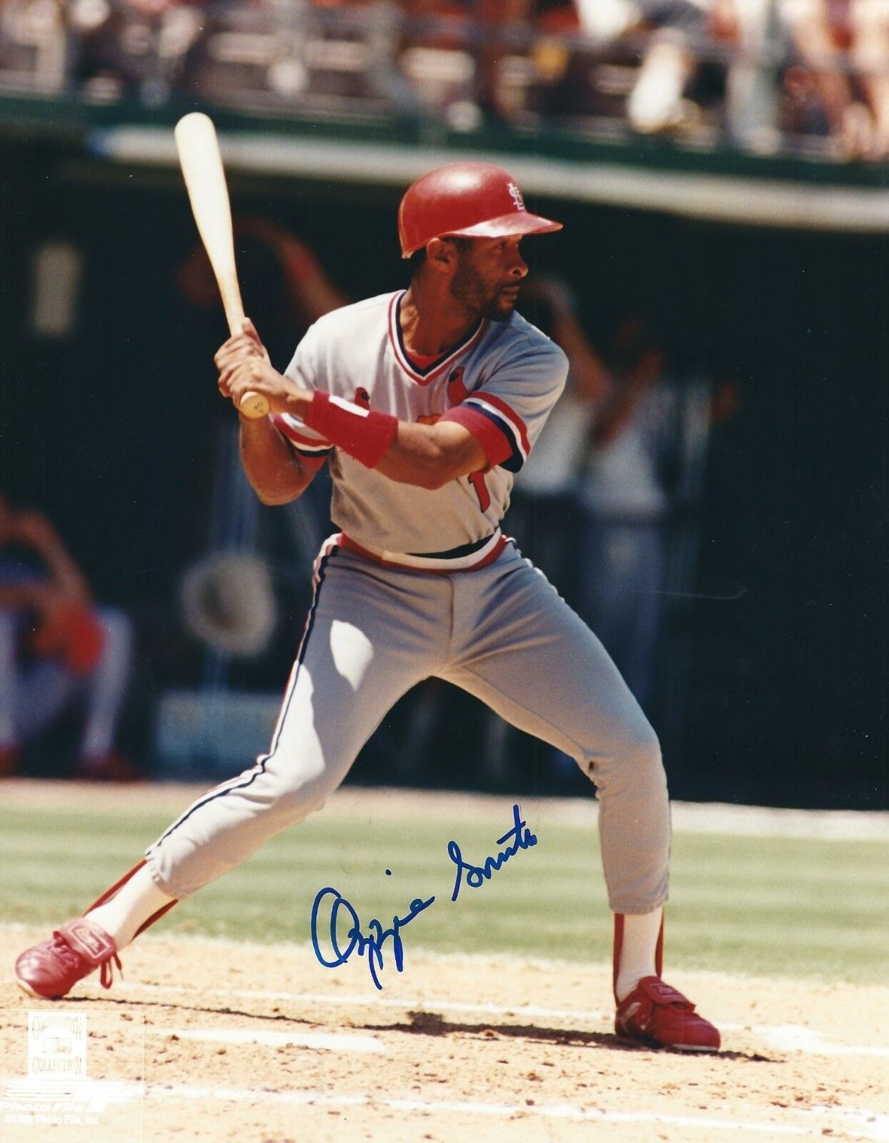 Autographed 8x10 Ozzie Smith St. Louis Cardinals Photo Poster painting - COA