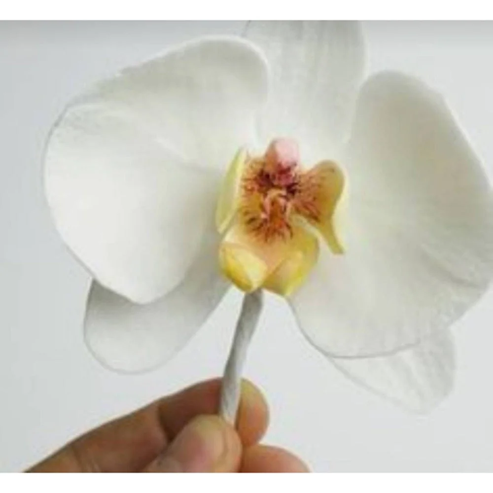 New Bow Flowers Orchids die punching die metal die cutting die scrapbook decorative paper card DIY embossing crafts