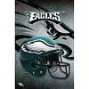 NFL Philadelphia Eagles Football-11CT Stamped Cross Stitch 35*50cm