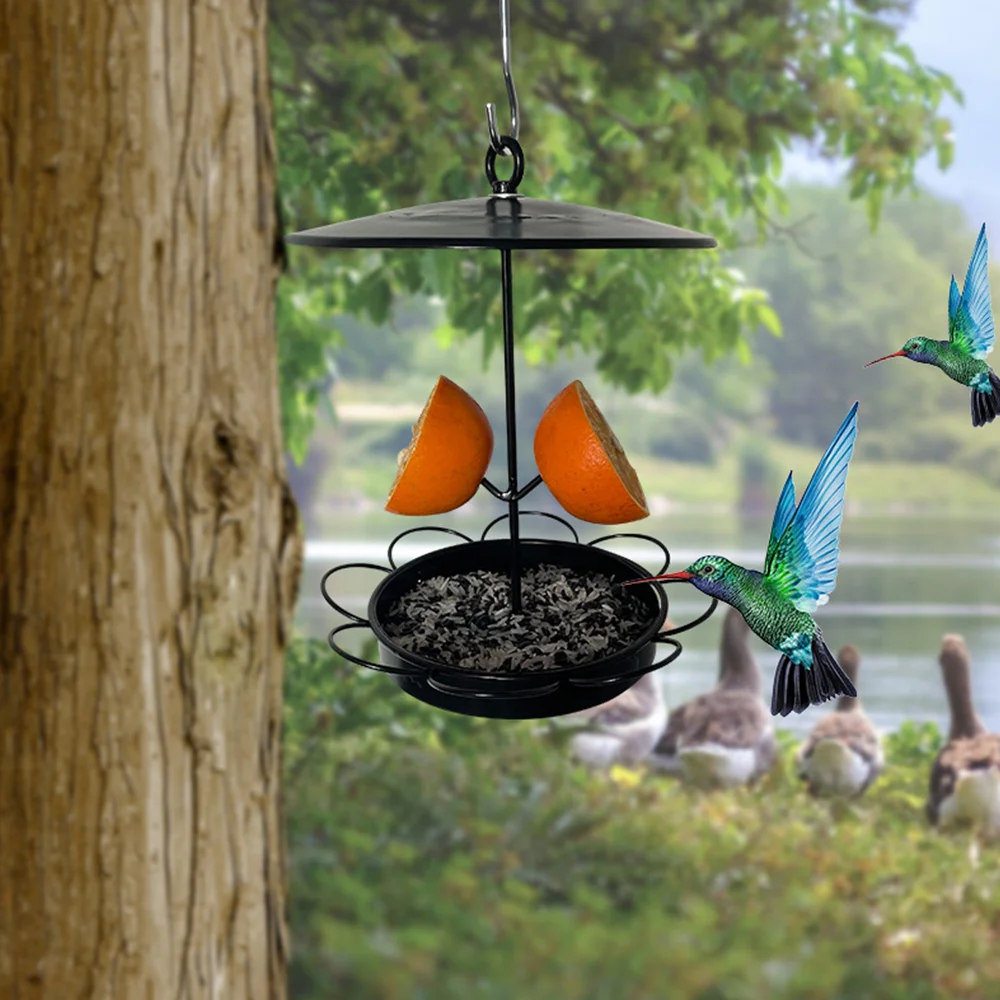 Small rainproof wrought iron bird feeder with fruit inserted outdoors
