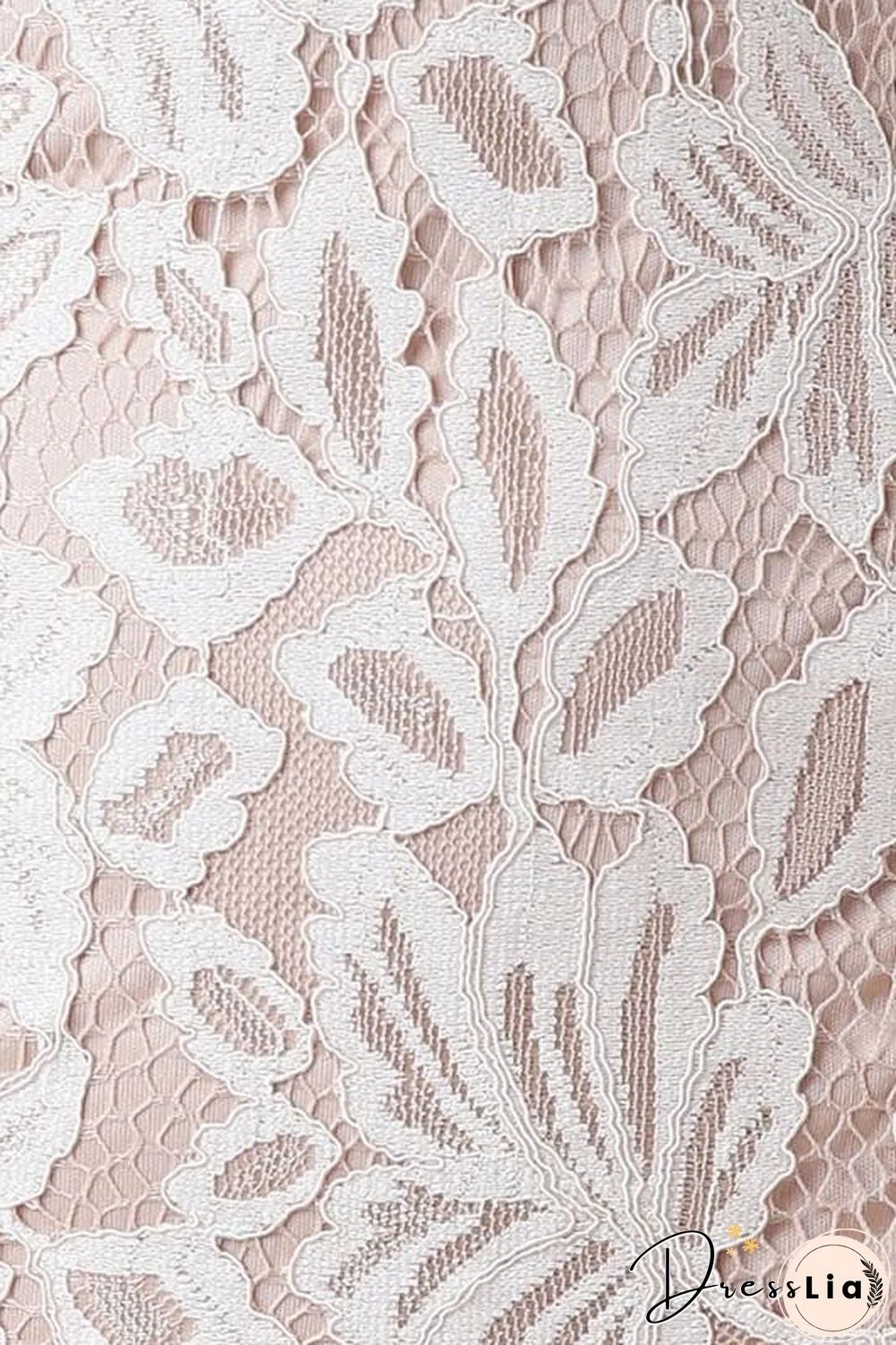 Women'S Lace V-Neck Mini Dress