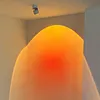 Sunset Lamp Ceiling Spotlgiht Lighting Surface Mount Entryway Photo Painting Wall Sconces Angle Adjustable Red Halo Rotatable Ceiling Lamps for Bedroom Living Room Decor