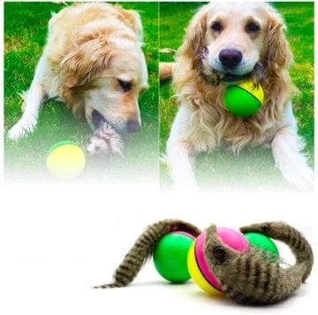 Beaver Ball Pet Toy