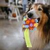 Jouet Balle &agrave; renifler interactif pour Chien, Jouet Portable &agrave; m&acirc;cher pour Chien