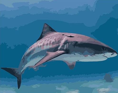 

The White shark – Paint By Numbers - 40*50CM, 501 Original