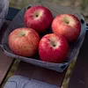 Outdoor Lightweight Folding Tableware Reusable Tableware Combination for Camping
