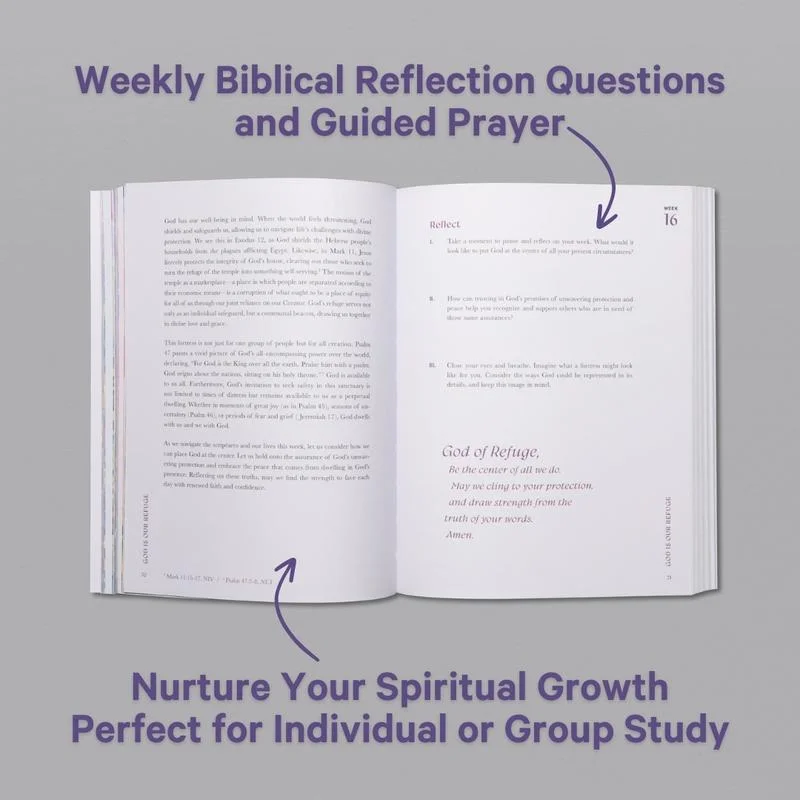 A Beautiful Year in the Bible: The 52-Week Bible Study for Women (Soft Cover)