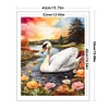 Swan - 11CT Stamped Cross Stitch 40*50cm/15.75*19.69in