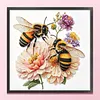 Twin Bumble Peony Bee Glass Bead Partial 11CT DIY Stamped Cross Stitch Kits for Beginners Adults Home Decor Cross Stitch Art and Crafts Kits 14.04x14.04in