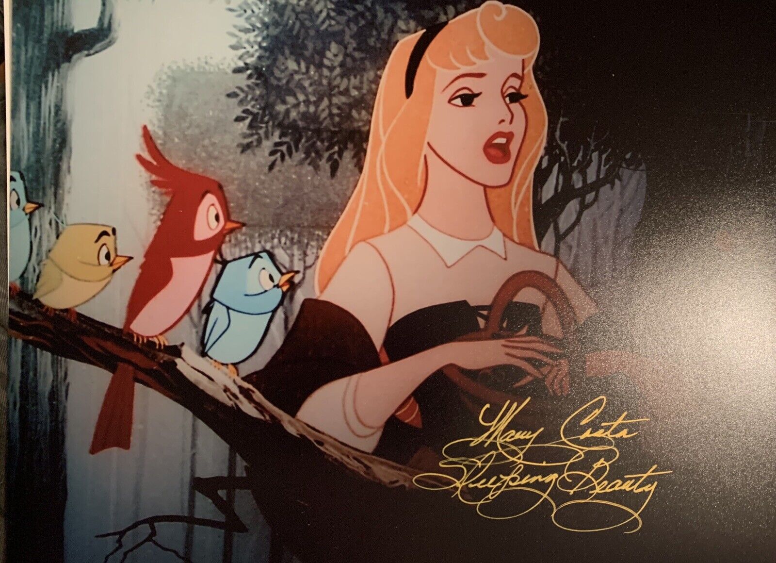 mary costa signed 8x10 Photo Poster painting Pic Auto Sleeping Beauty