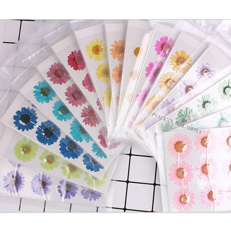 12pcs/lot 3D Nail Art Dried Flowers Acrylic UV Gel Nails Tips Salon Manicure Decoration-Nail Inspo