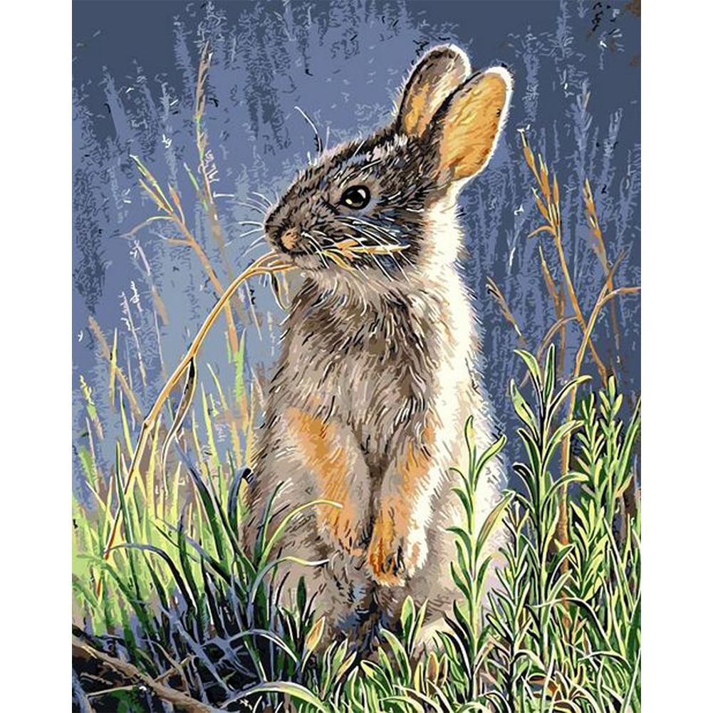 

40x50cm - Paint By Numbers Cute Rabbit, 501 Original