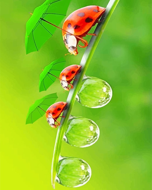 

Cute Ladybugs – Paint By Numbers - 40*50CM, 501 Original