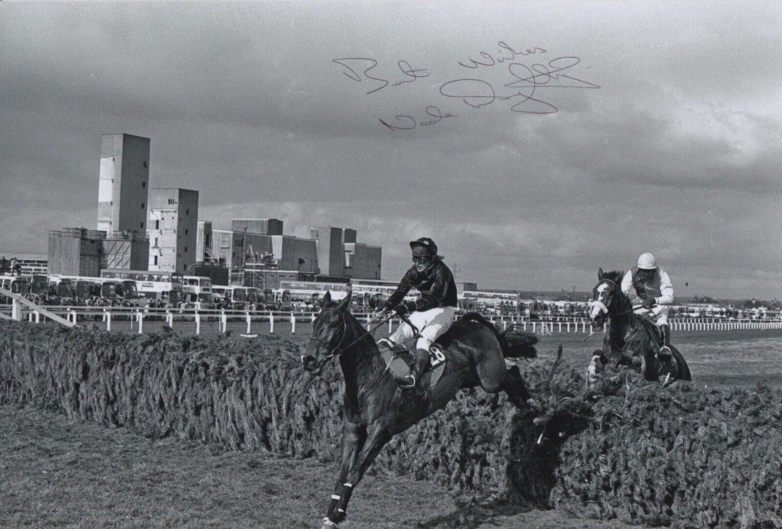 NEALE DOUGHTY HAND SIGNED 12X8 Photo Poster painting HALLO DANDY HORSE RACING AUTOGRAPH