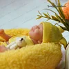 Babiesprincess Lifelike Reborn Baby Doll, Babiesprincess