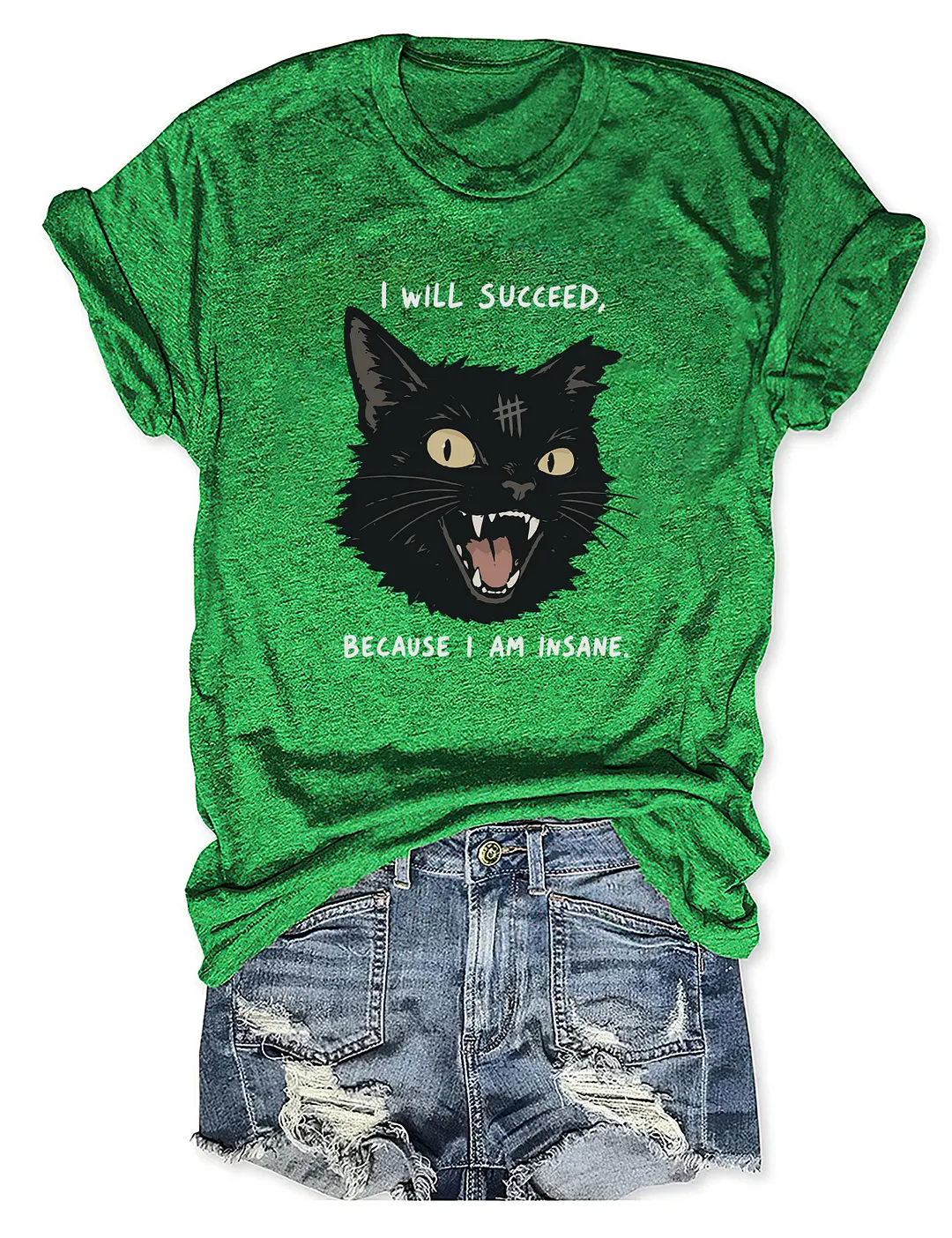 I Will Succeed Because I Am Insane T-shirt