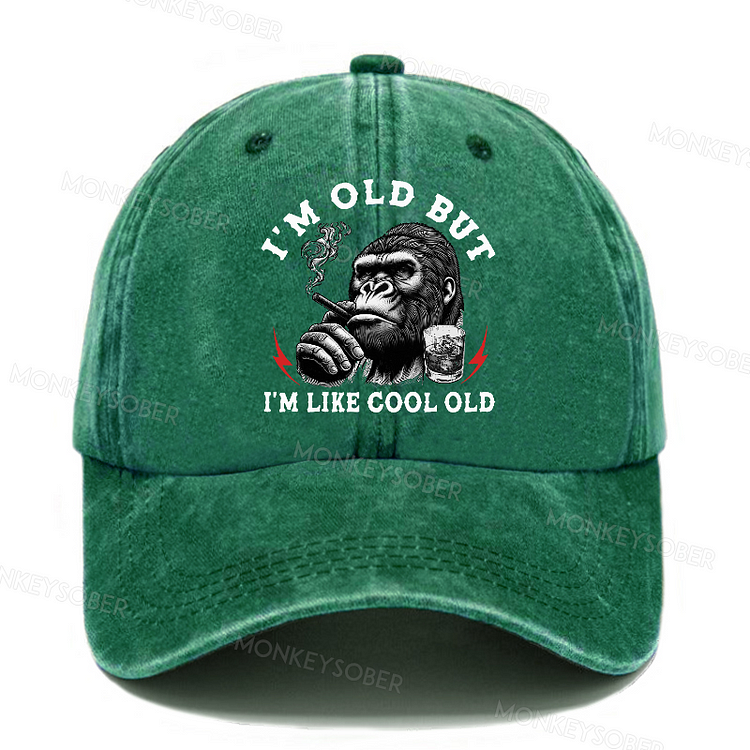 I'm Old But I'm Like Cool Old Funny Gift Washed Baseball Caps